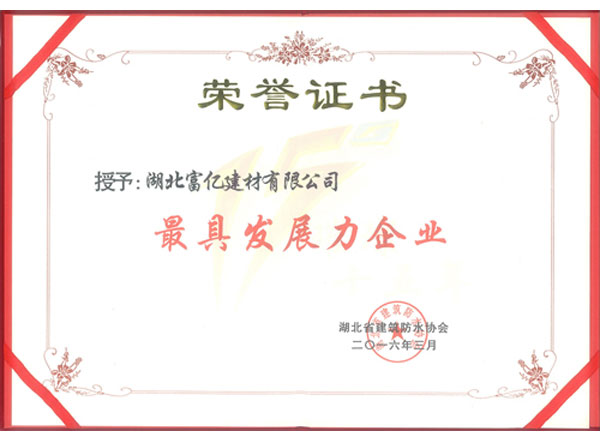 最具發展力企業